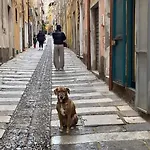 L'accademia Dei Sogni בית הארחה סאסארי